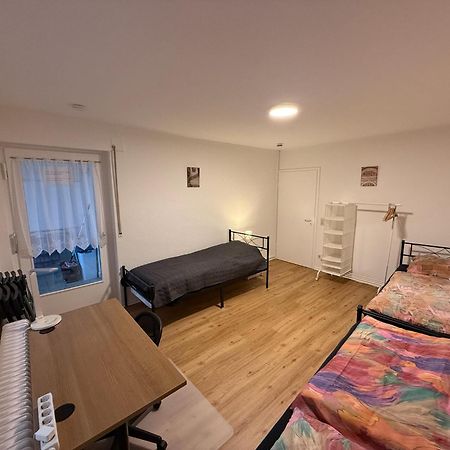 Big, Cosy And Central Apartment 卡尔斯鲁厄 外观 照片